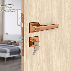 Mortise Door Handle
